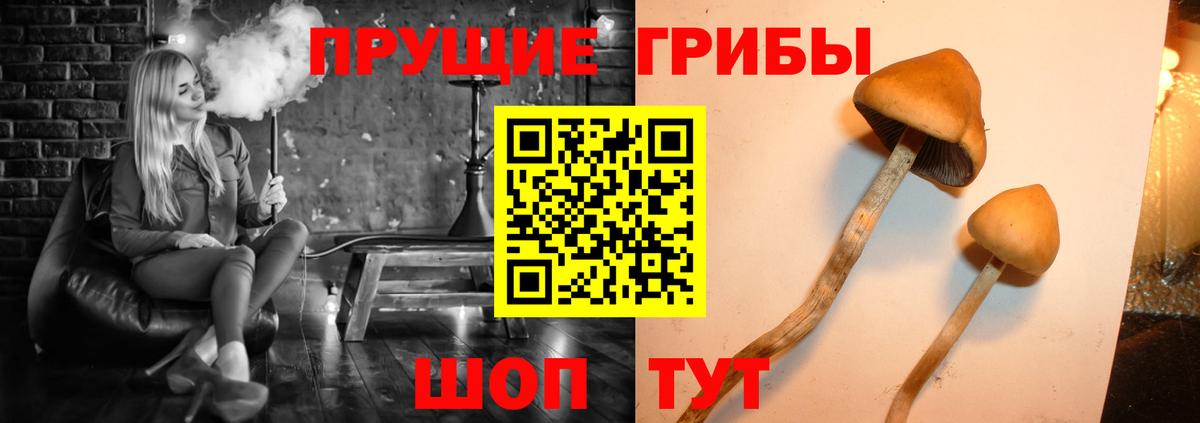 Галлюциногенные грибы ЛСД  Галлюциногенные грибы прущие грибы  Каспийск  Вход с VPN 