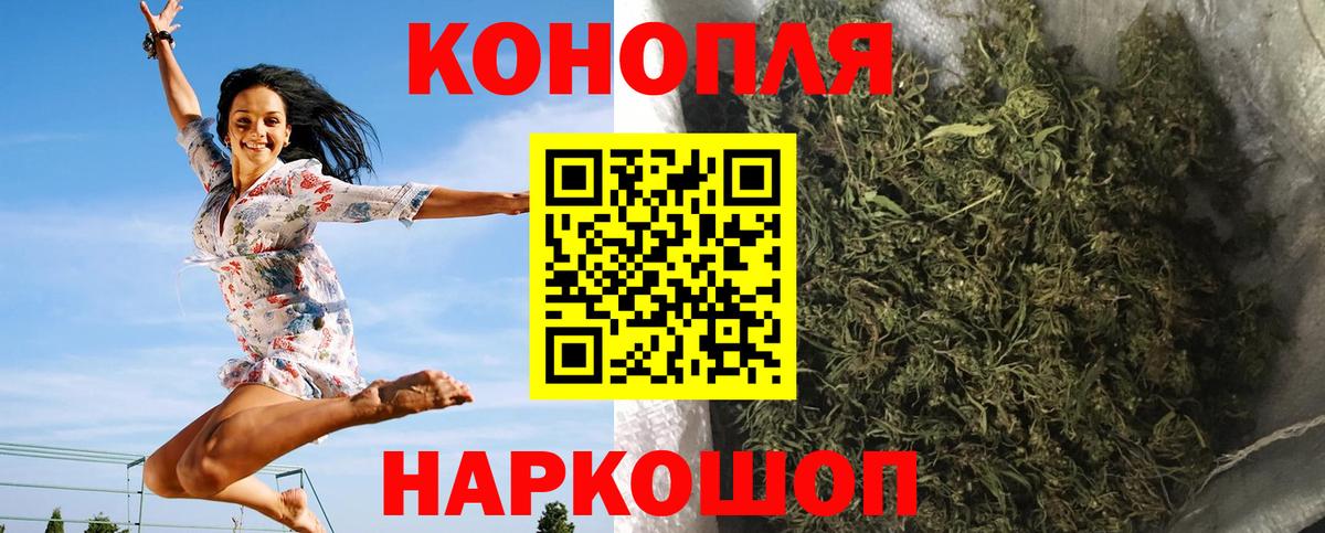 Марихуана сатива Каспийск